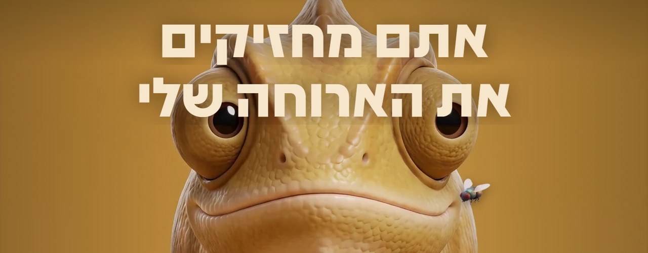 זיקי - זיקית שעוקבת אחרי הסמן
